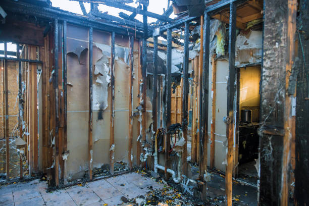 Professional Fire Damage Removal technician working in Dayton, WA