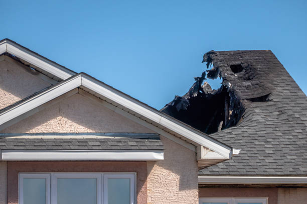 Top rated local Fire Damage Removal specialists in Dayton, WA